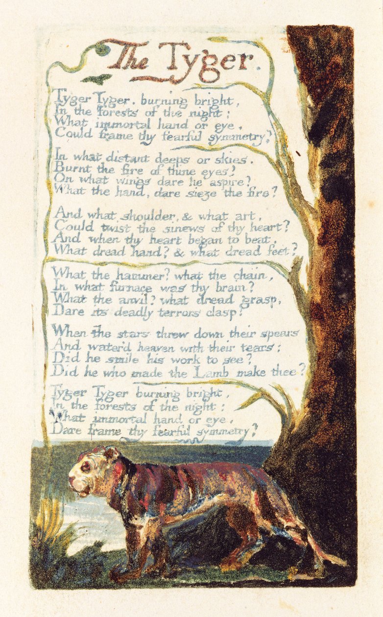 "The Tyger", deska 41 z knihy "Songs of Experience", 1794 (reliéfní lept s wc) od William Blake