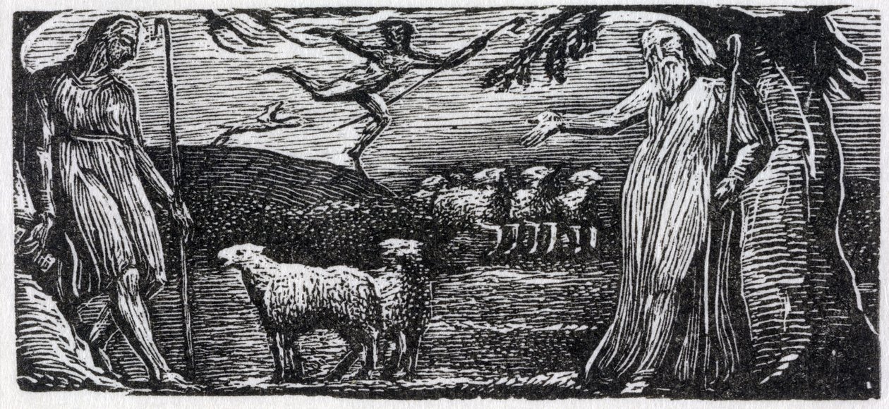 Thenot demonstruje s Colinet, Lightfoot in the Distance, ilustrace z Dr. Thorntona 