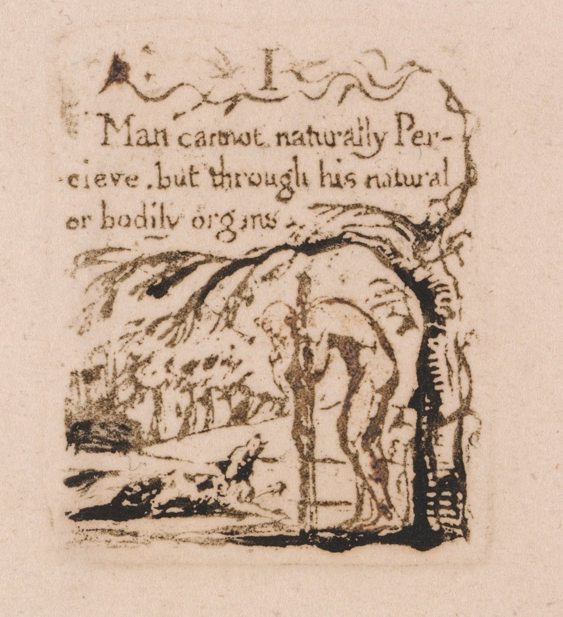 Neexistuje žádné přirozené náboženství, talíř 3, já člověk přirozeně nemůže. . . . (Bentley a4) od William Blake