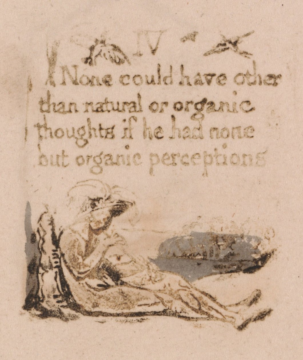Neexistuje žádné přirozené náboženství, talíř 6, IV. . . . (Bentley a7) od William Blake