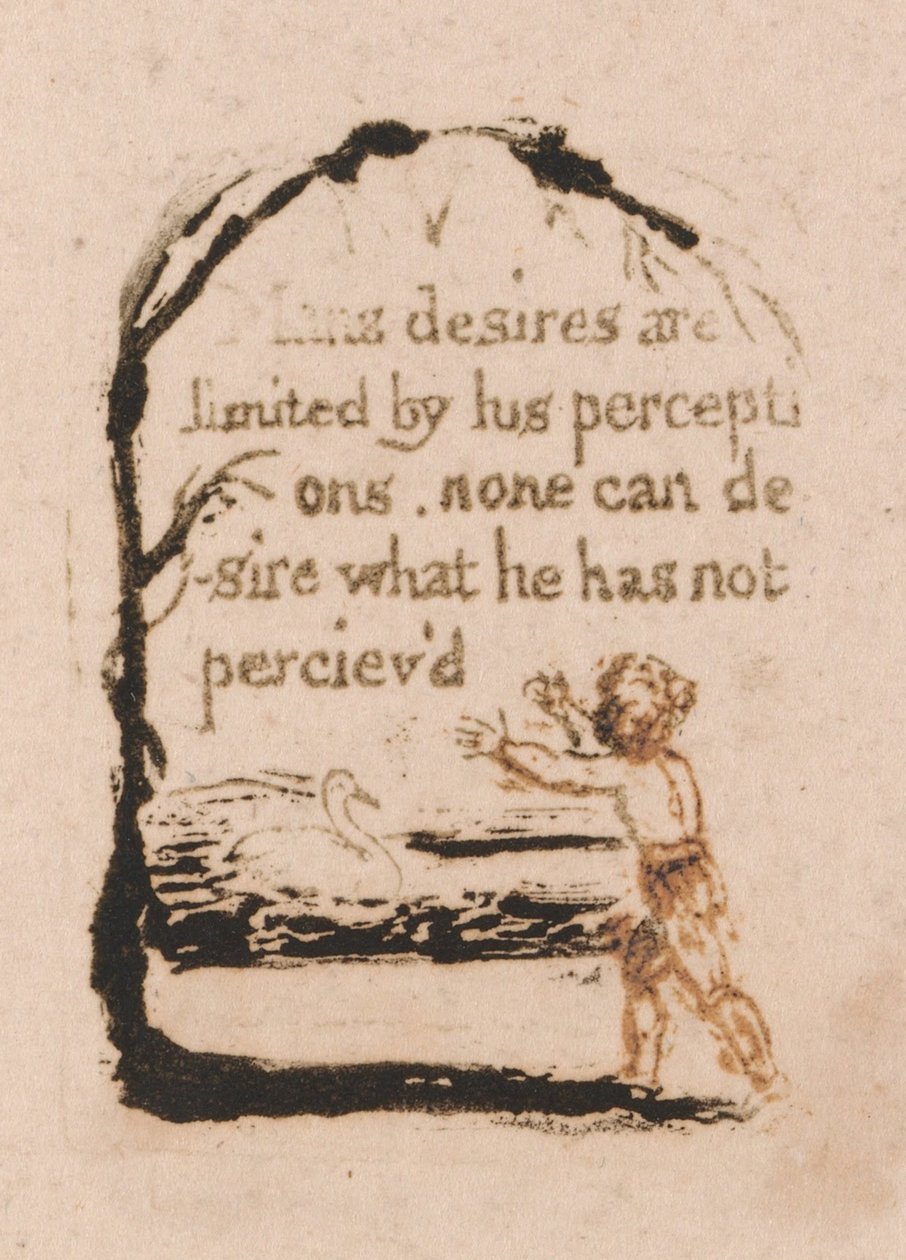 Neexistuje žádné přirozené náboženství, talíř 7, od William Blake