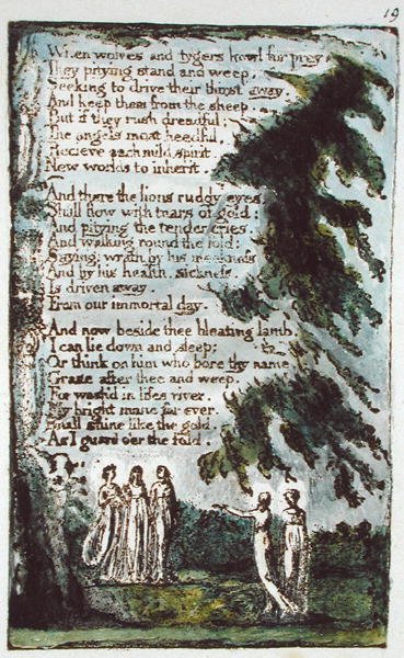 When Wolves and Tygers... ilustrace z Songs of Innocence and of Experience (Bentley Copy L) pl.19 (Bentley 21) 1789-94 (reliéfní lept perem a wc na papíře) od William Blake