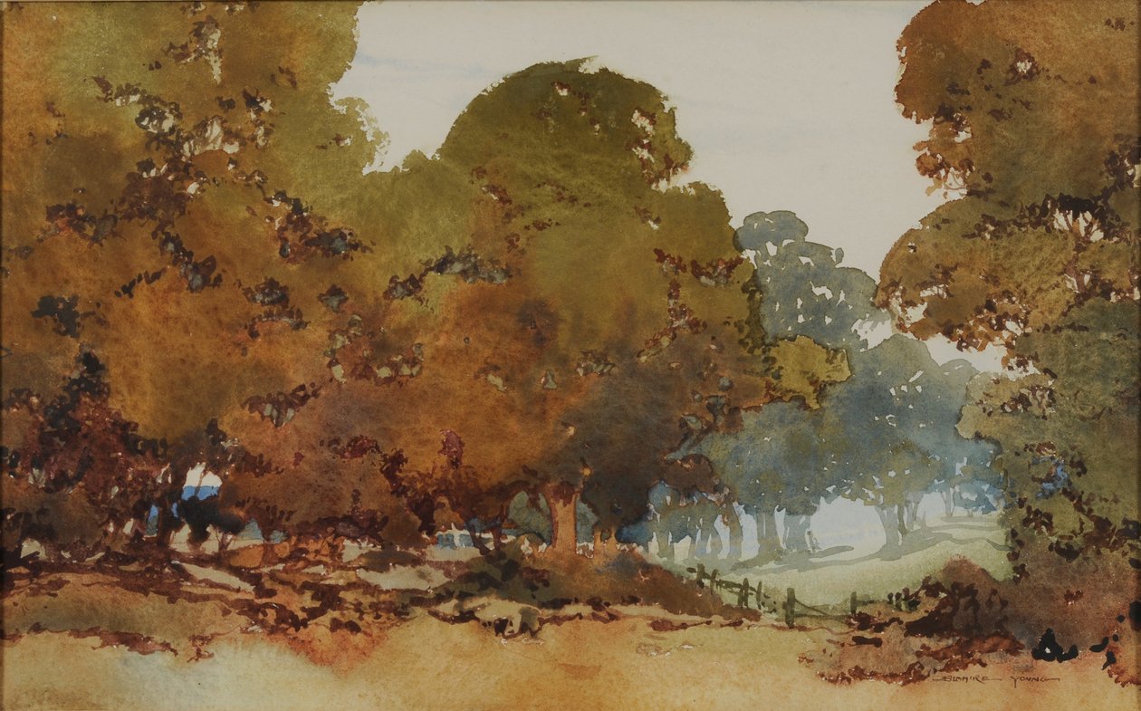 Gumové stromy od William Blamire Young