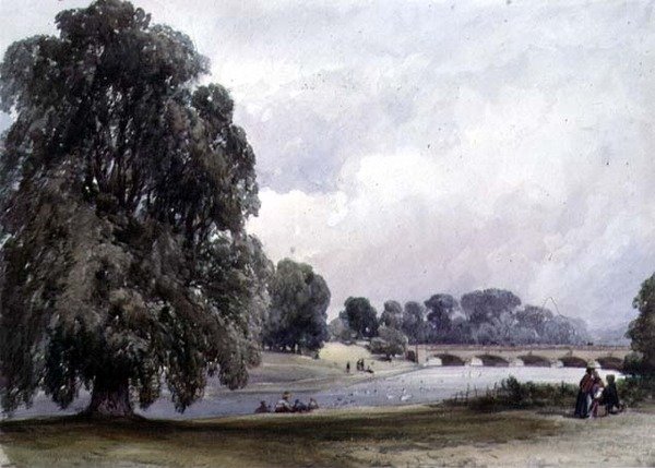Serpentine, Kensingtonské zahrady od William Callow