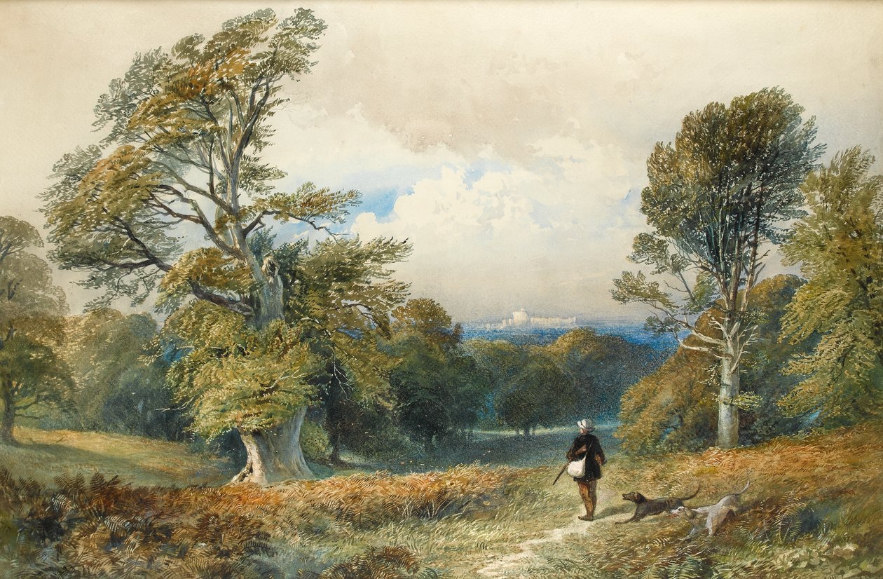 Drsná střelba v parku Windsor Great Park (wc na papíře) od William Collingwood Smith