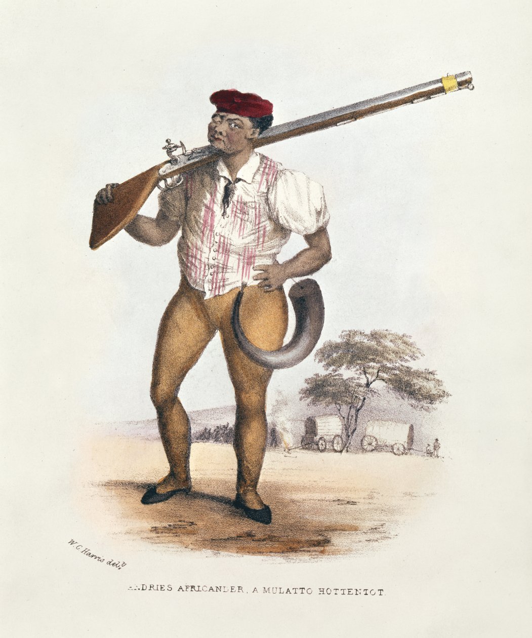 Andries Africander, mulat Hottentot, ilustrace z Wild Sports of South Africa, od W.C. Harris, 1841 od William Cornwallis Harris