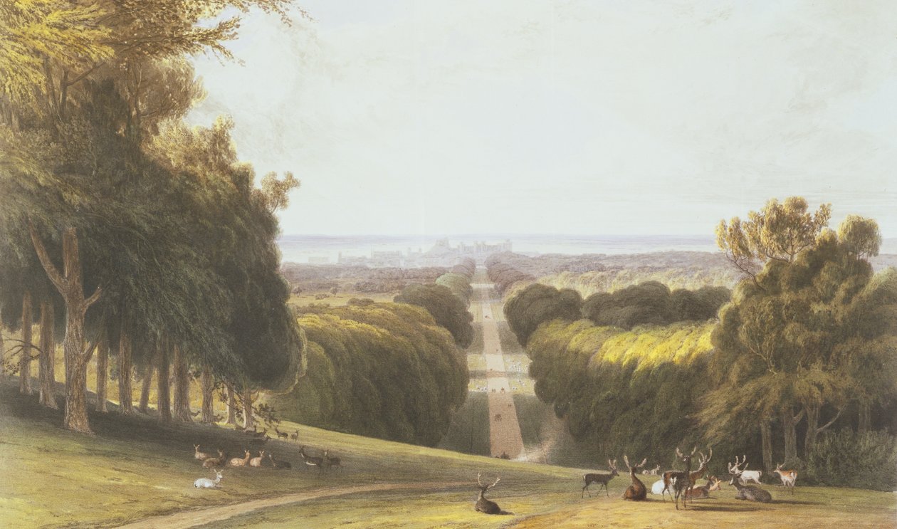 The Long Walk, Windsor Park, z kompilace pohledů na Windsor, Eton a Virginia Water, c.1827-30 od William Daniell