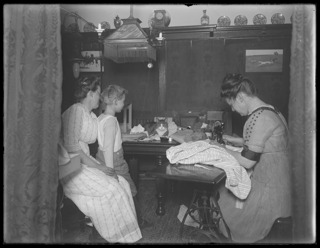 Ethel Gray Magaw Hasslerová, William Gray Hassler (malý chlapec), Harriet E. Hasslerová (obsluhuje šicí stroj) a Reddy (kočka) v jídelně na Vermilyea Avenue 150, byt 44, New York City, asi 19. stol. od William Davis Hassler