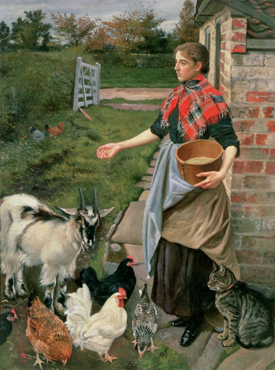 Krmení kuřat od William Edward Millner