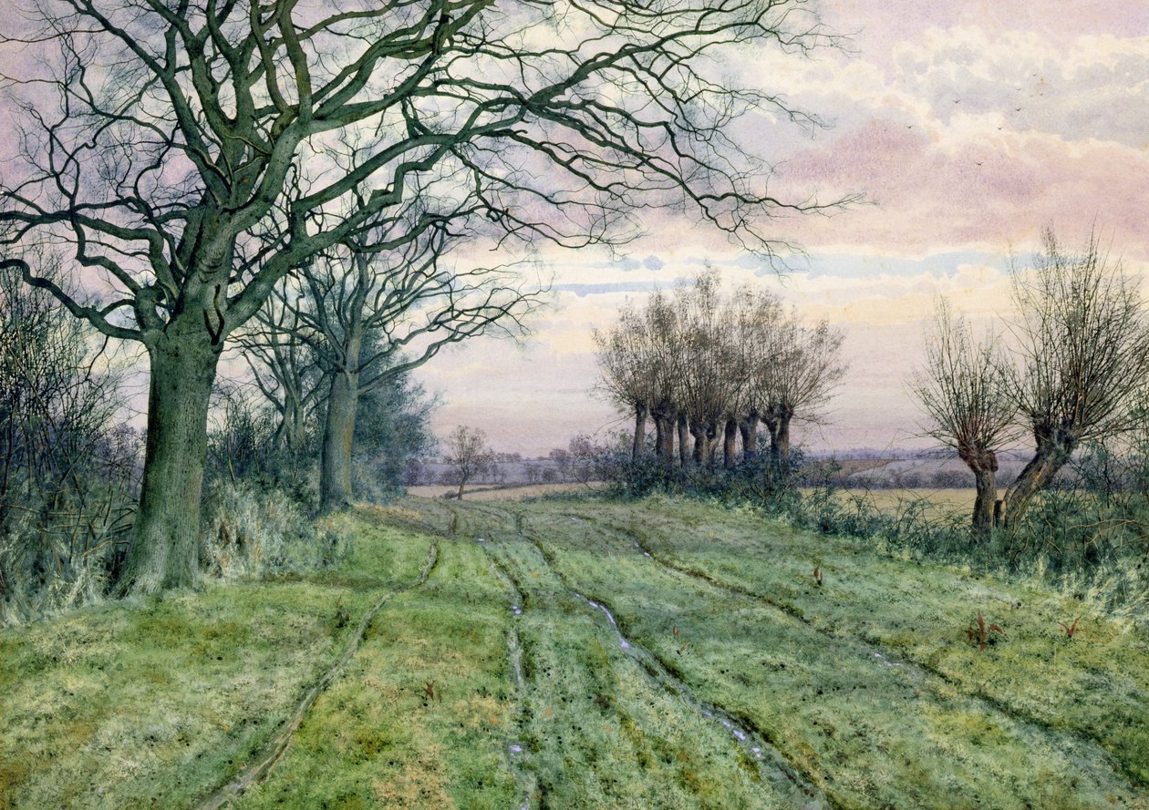 Fenland Lane s Pollarded Willows, 1887 od William Fraser Garden