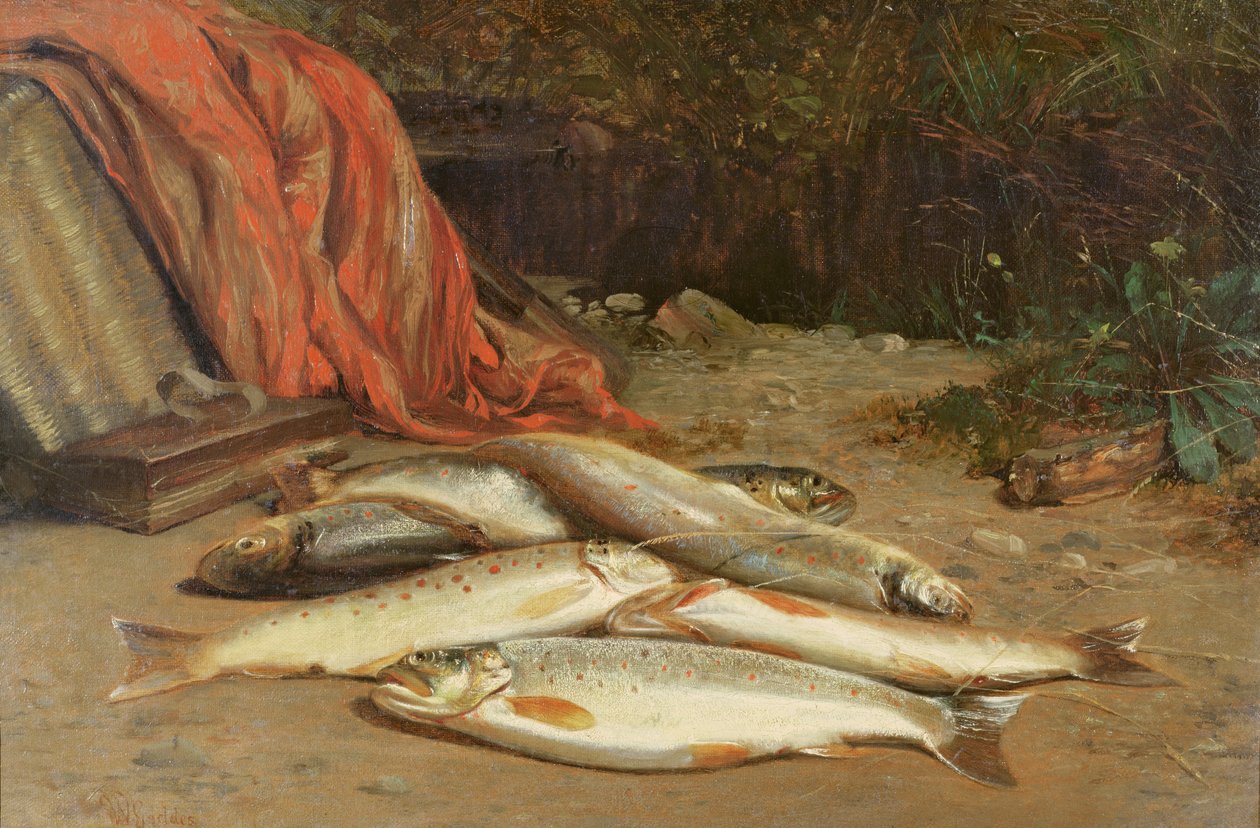 Pstruh potoční na břehu řeky od William Geddes