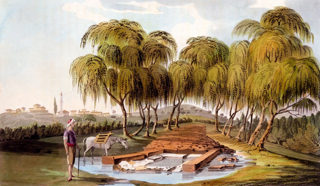 Jaro u pramene řeky Skamander, 1804 od William Gell