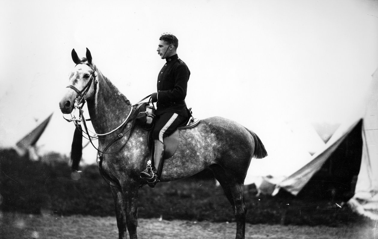 Důstojník Scots Greys, kolem 90. let 19. století od William Gregory
