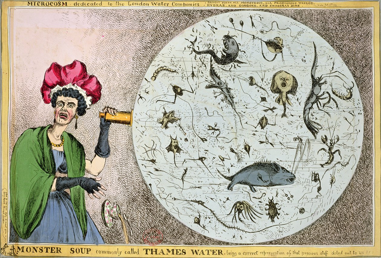 Mikrokosmos věnovaný londýnským vodárenským společnostem: Polévka monster běžně nazývaná Thames Water, která je správným znázorněním toho vzácného materiálu, který nám byl darován!!!, vyryto a zveřejněno v roce 1828 b od William Heath