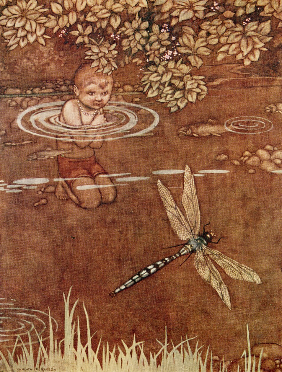 Byl trochu domýšlivý ohledně svých krásných barev a velkých křídel od William Heath Robinson