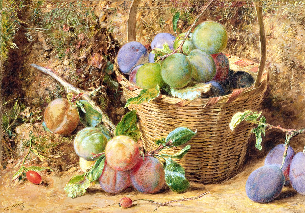 švestky (wc) od William Henry Hunt