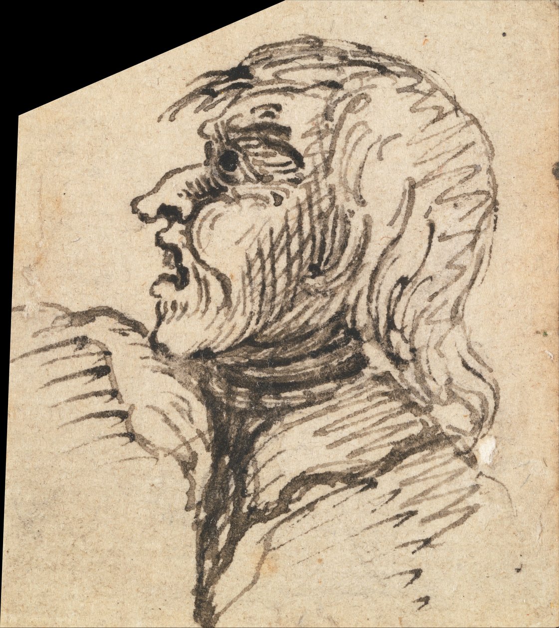 Groteskní ženská hlava od William Hogarth
