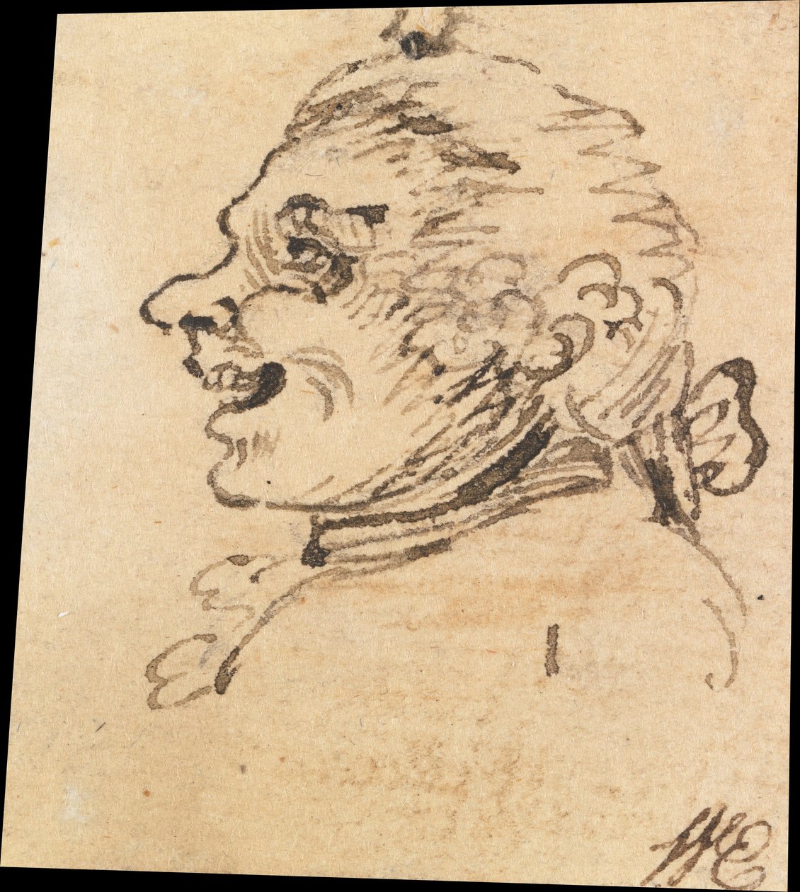 Groteskní mužská hlava od William Hogarth