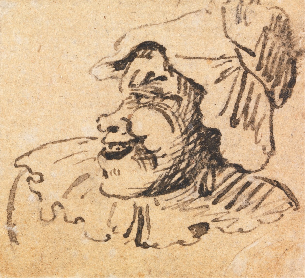 Groteskní mužská hlava od William Hogarth