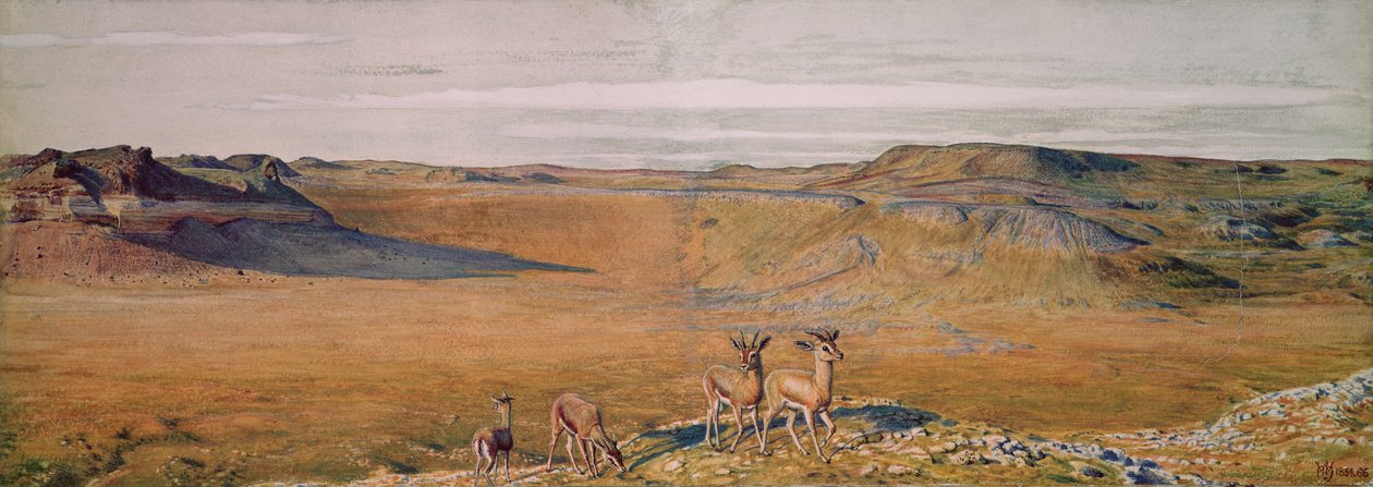 Divočina Gizeh, 1854 od William Holman Hunt
