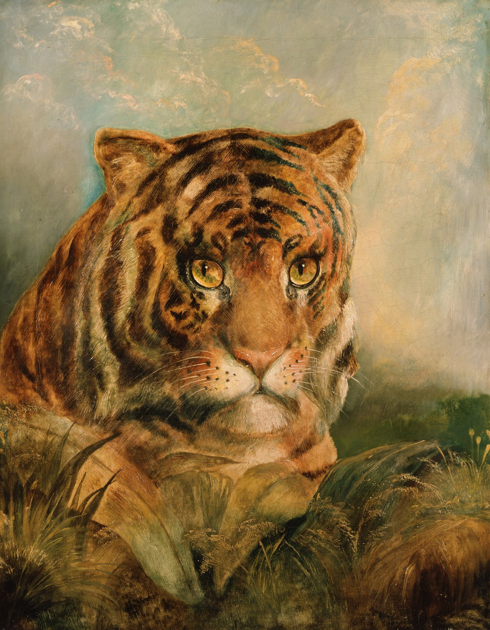 Unbekanntes Bild od William Huggins