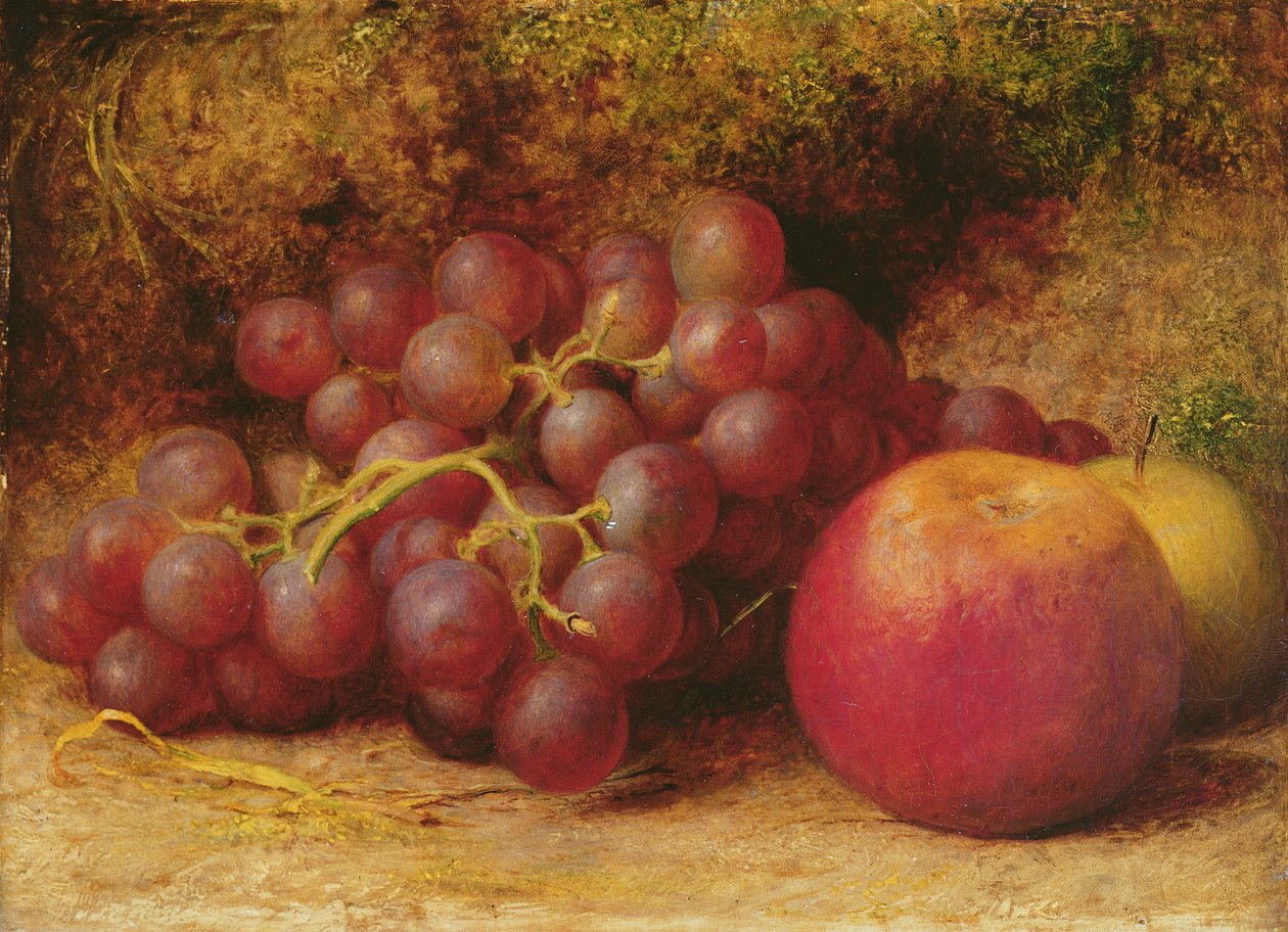 Zátiší s jablky a hrozny, c.1860 od William J. Webbe or Webb