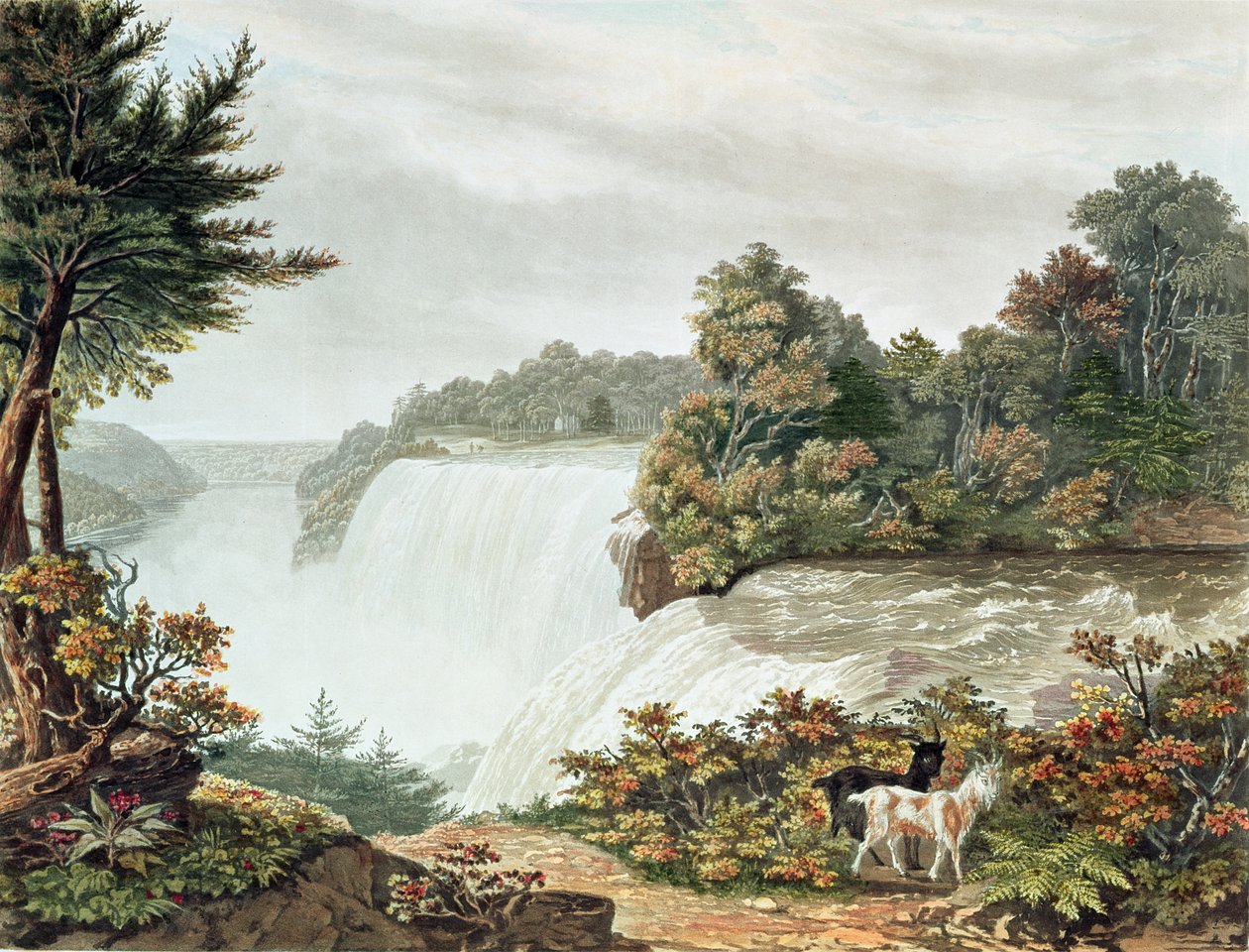 Niagarské vodopády z Kozího ostrova od William James Bennett