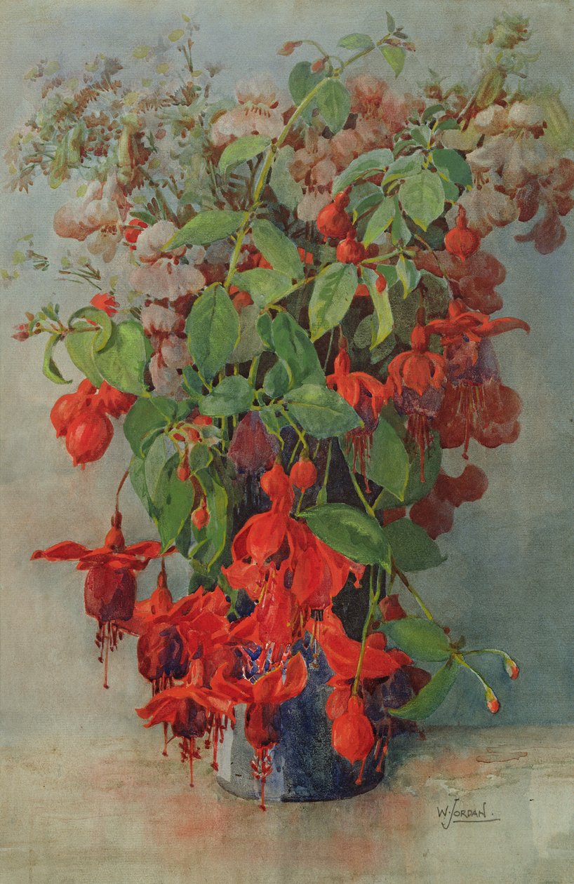 Fushia a Snapdragon ve váze (tužka a wc) od William Jordan