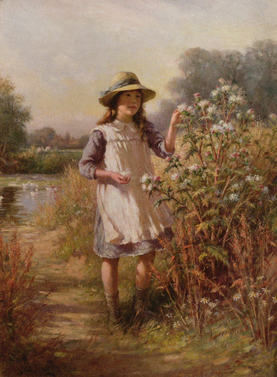 Unbekanntes Bild od William Kay Blacklock