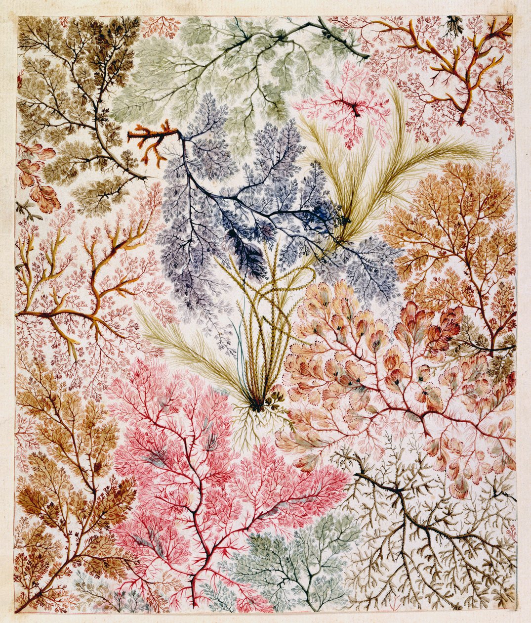 Textilní design, kolem 1788-92 od William Kilburn