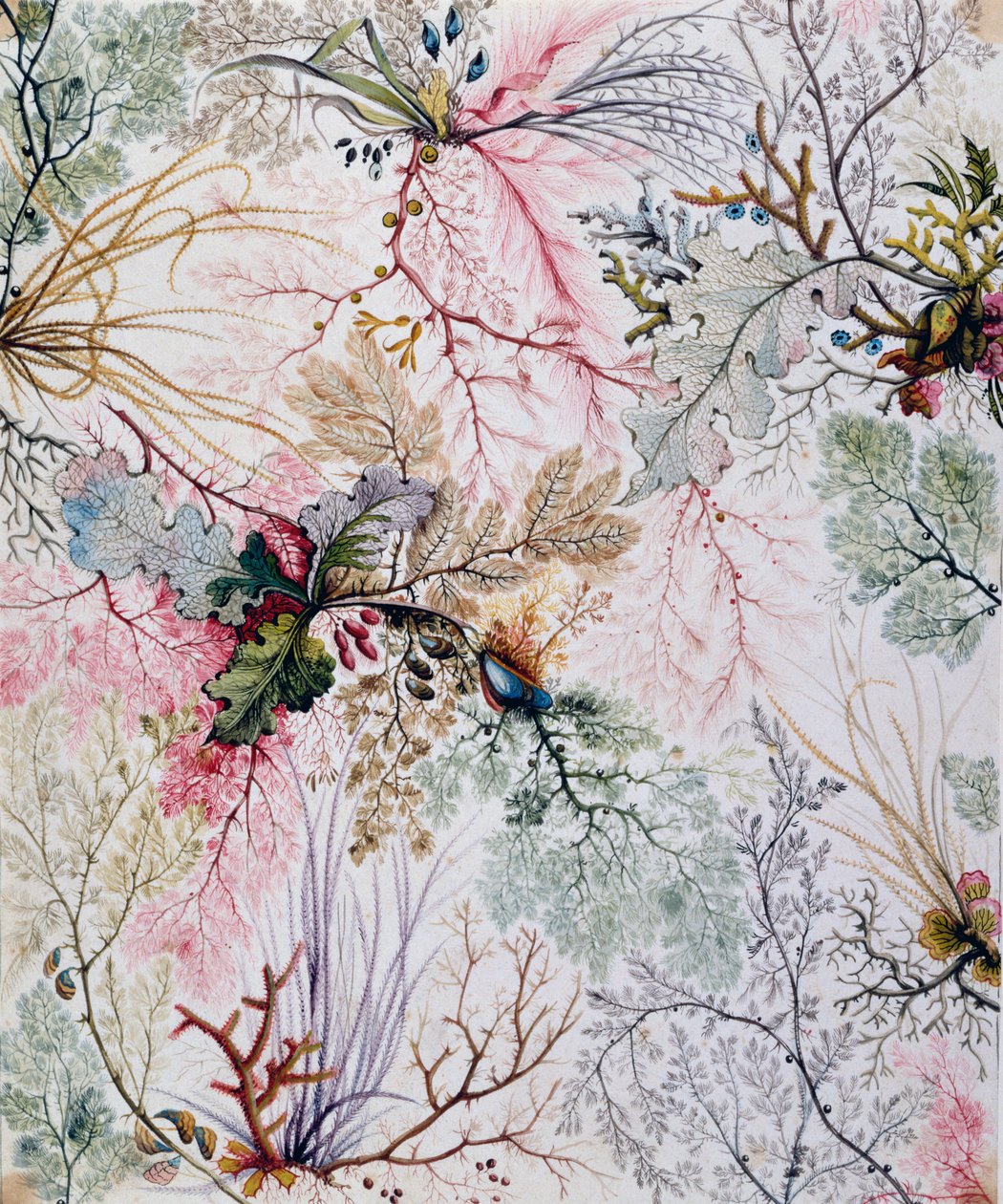 Textilní design, kolem 1788-92 od William Kilburn