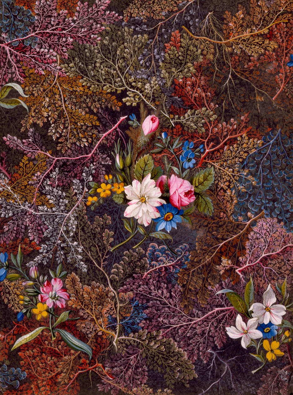 Textilní design, kolem 1788-92 od William Kilburn