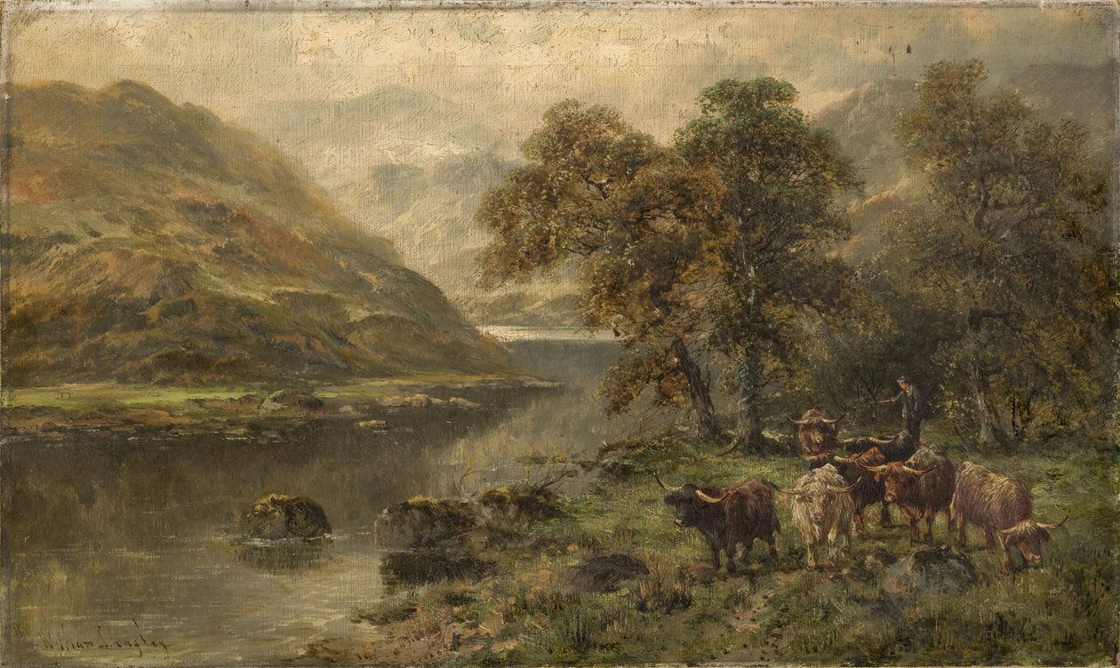 Branderův průkaz od William Langley