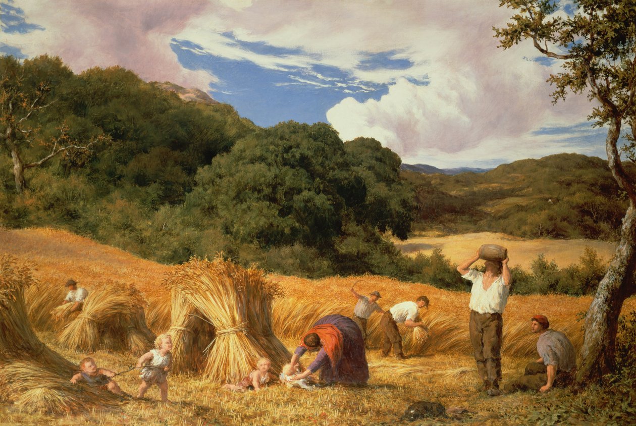 Kukuřičné pole v Surrey, 1860 od William Linnell