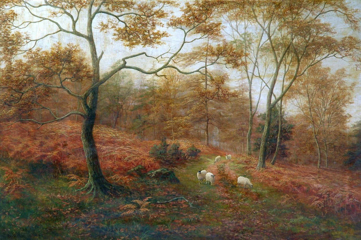 Bolton Woods, Yorkshire od William Mellor