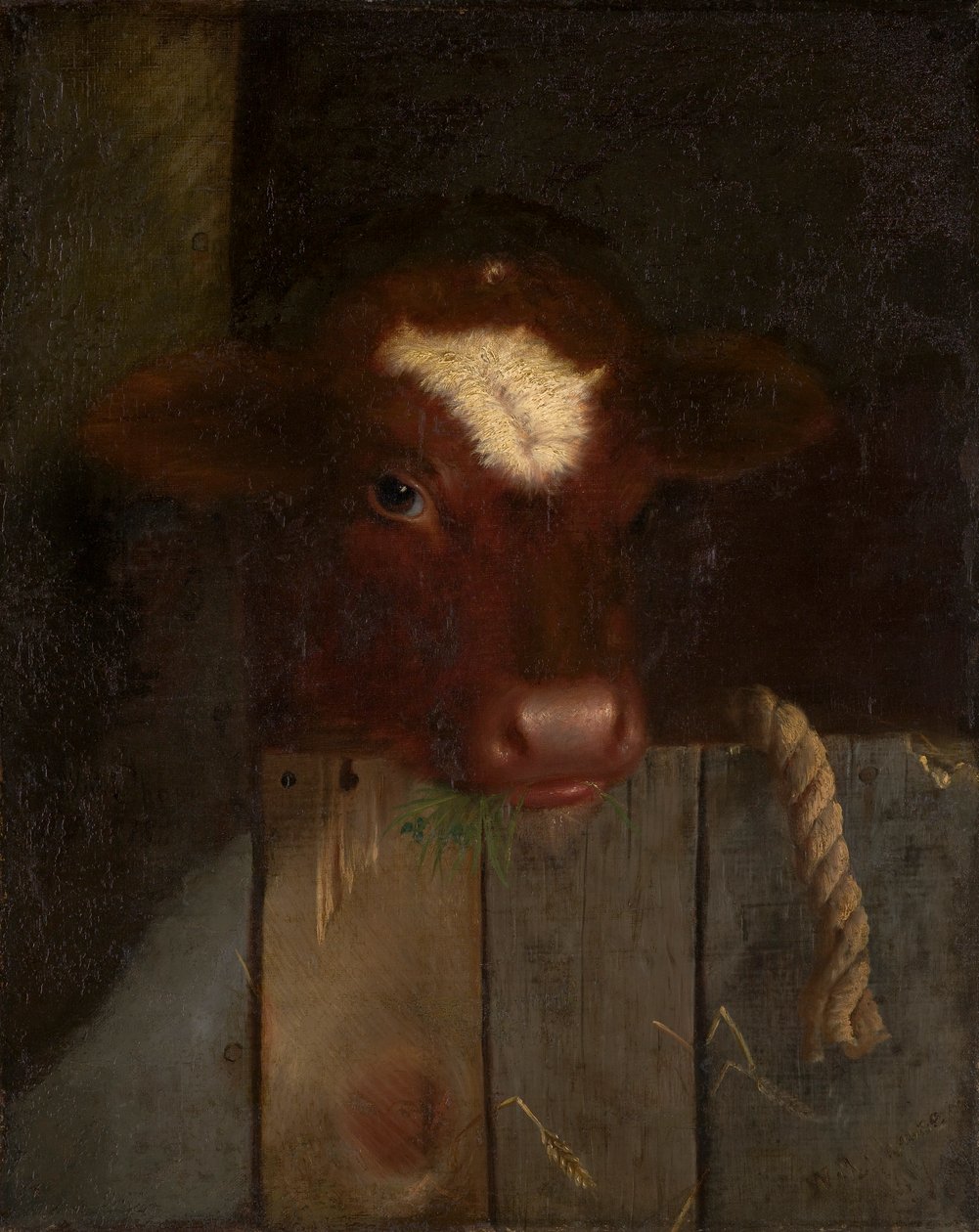 Rodinná kráva (Telecí hlava) od William Merritt Chase