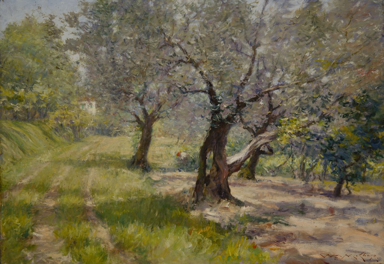 Olivový háj od William Merritt Chase