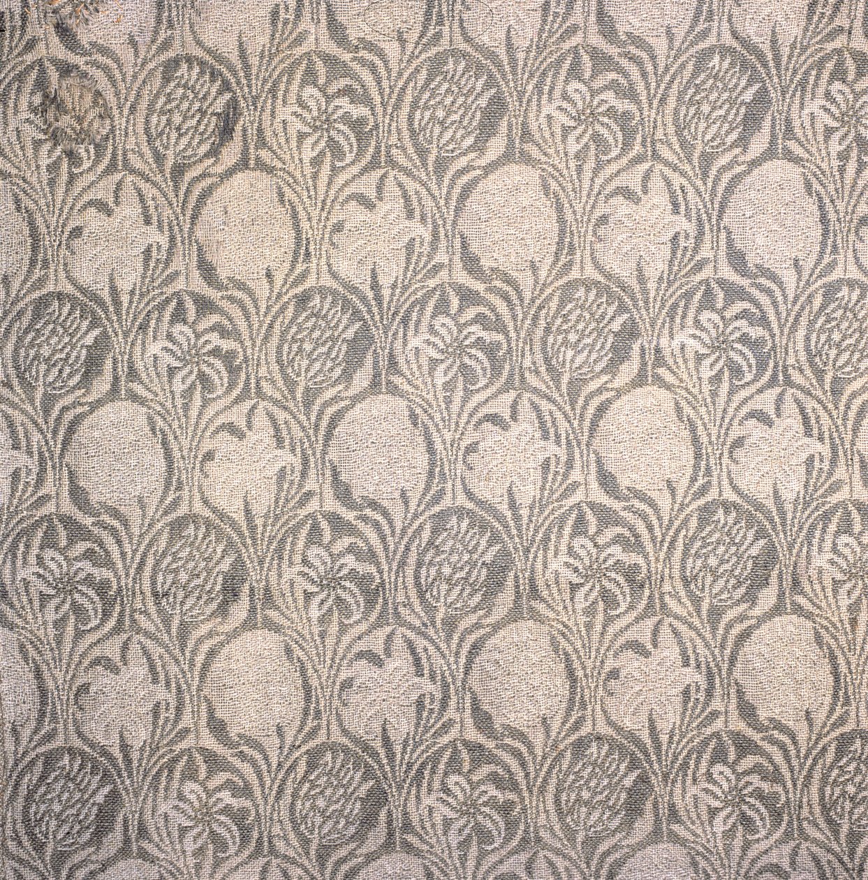 Fragment záclony, design tulipánu a lilie (bavlna) od William Morris