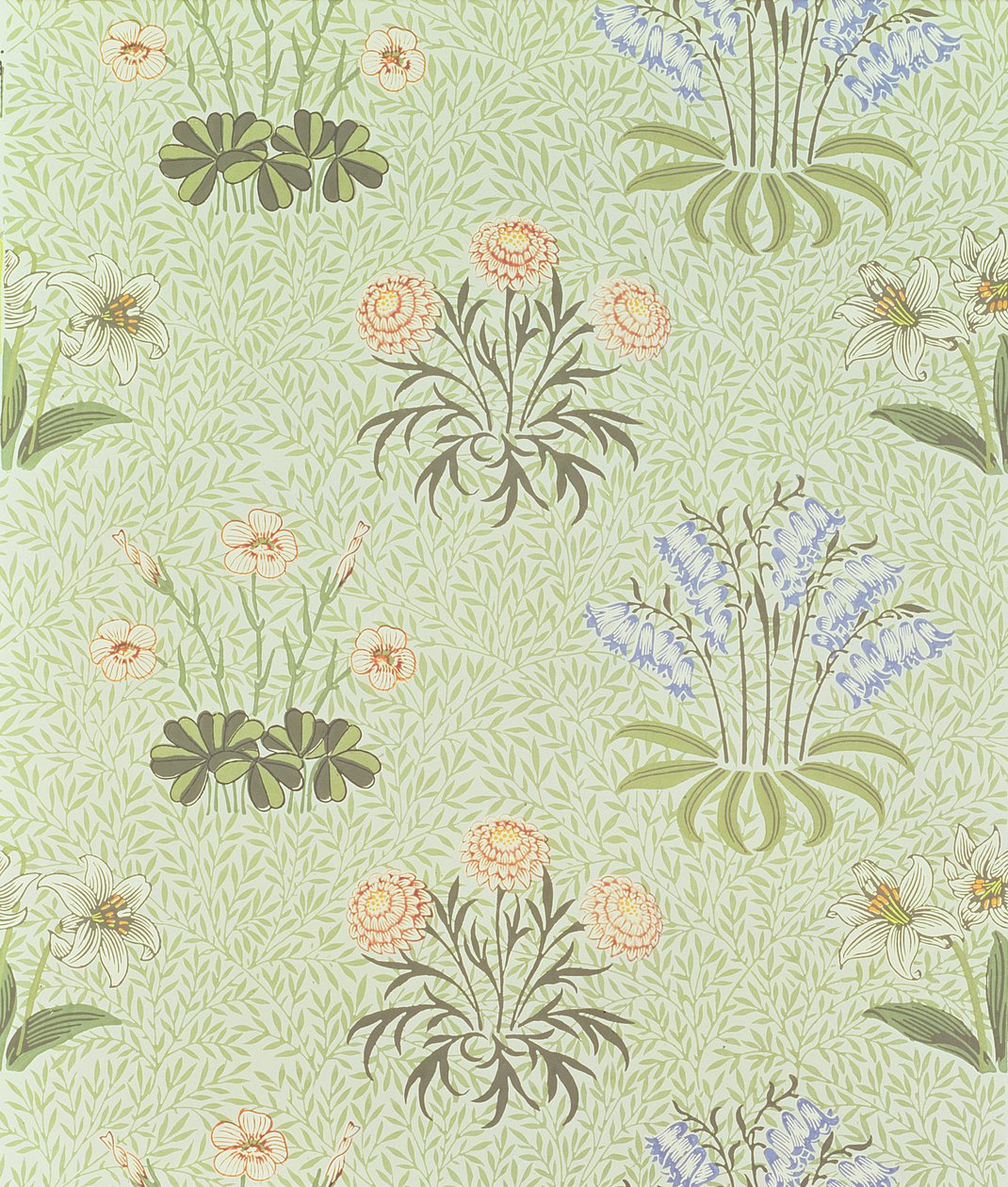 Designová tapeta se vzorem sedmikrásky s konvalinkou a dalšími divokými květinami na pozadí „vrba“, navržená Williamem Morrisem (1834-96) 1862 od William Morris