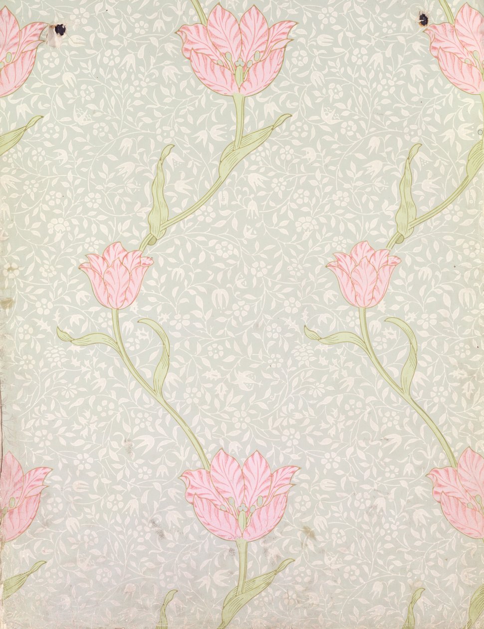 Design tapety 