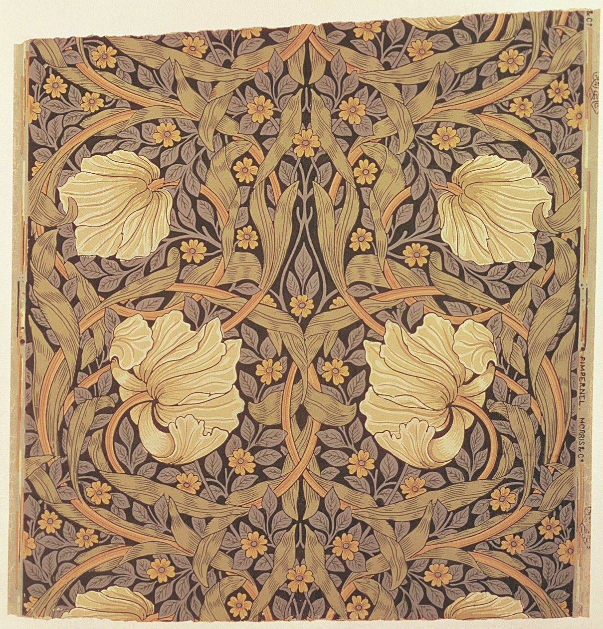 Design tapety "Pimpernel", 1876 od William Morris
