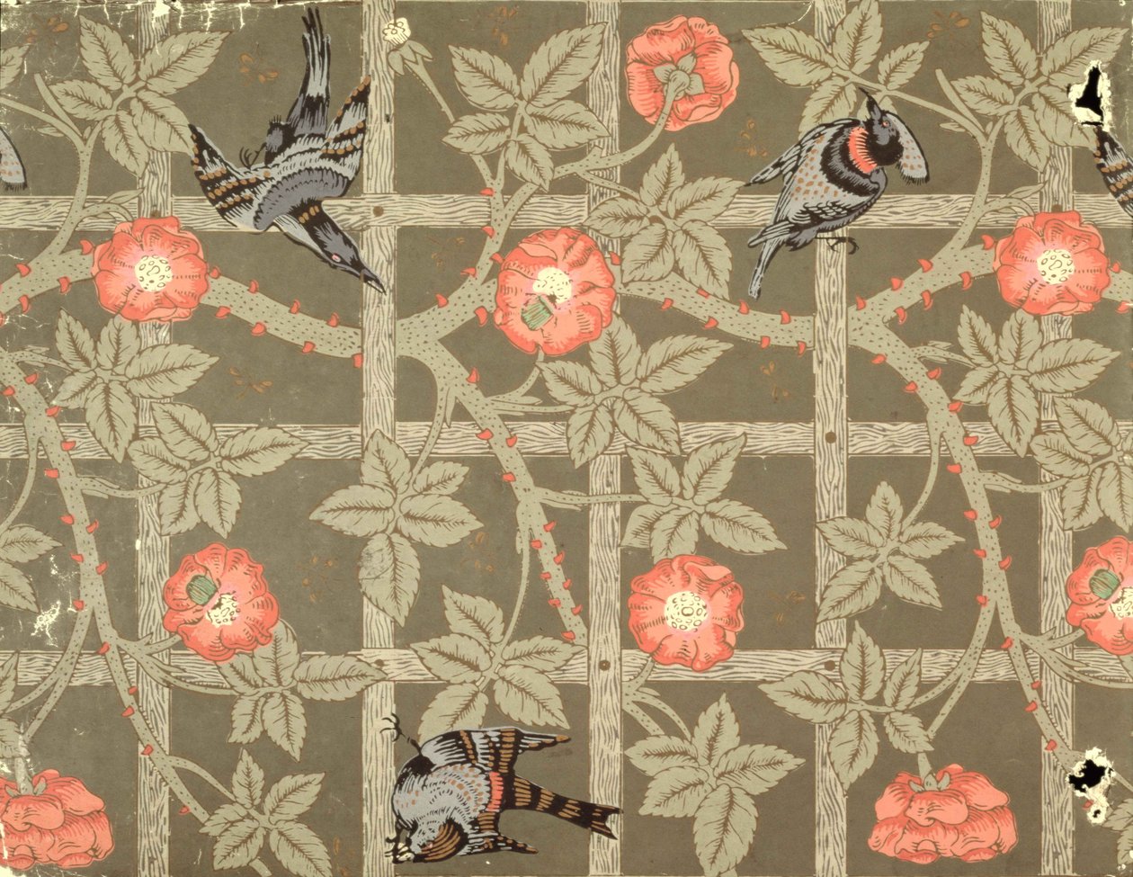 Design tapety Trellis s lahvově zeleným pozadím, 1864 od William Morris