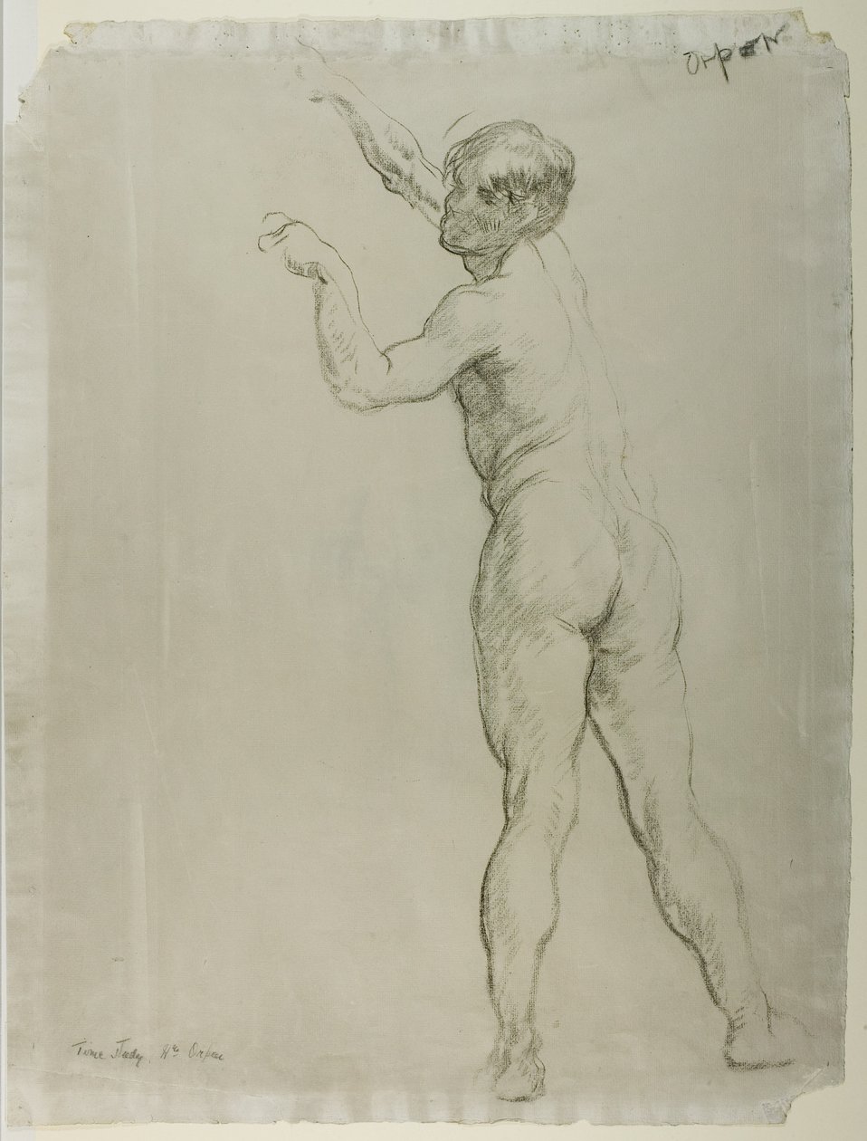 Mužský akt stojící (křída na papíře) od William Orpen