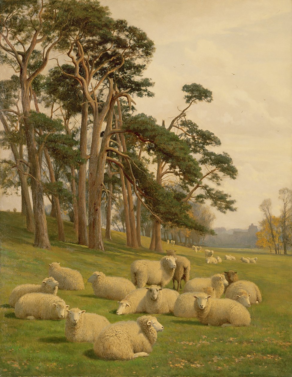Sluncem ozářené pastviny od William Sidney Cooper