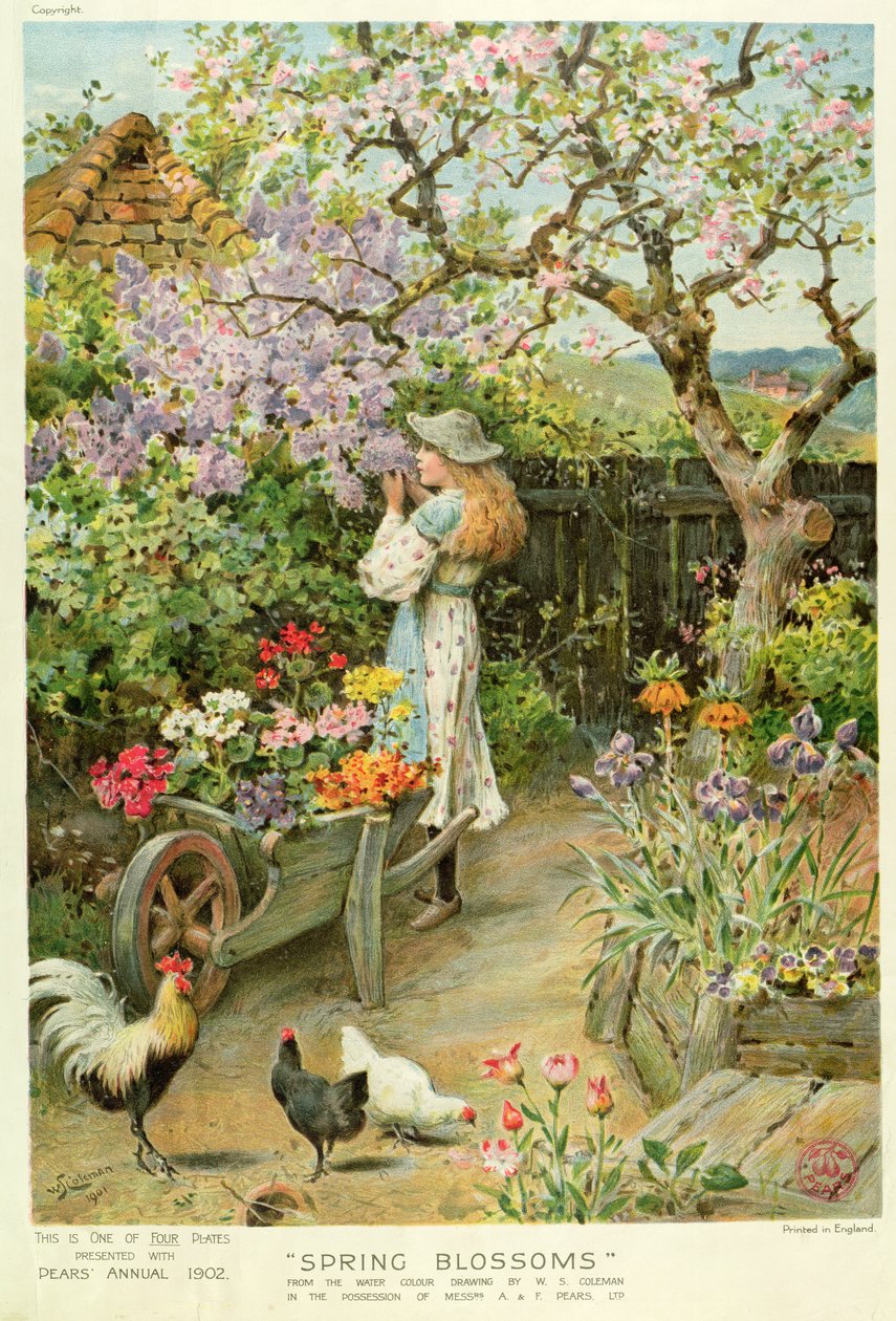 Jarní květy, z ročenky Hrušky, 1902 od William Stephen Coleman