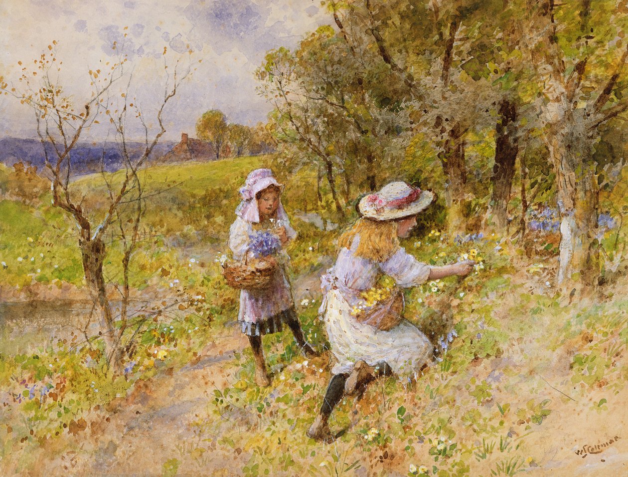 Sběrači Primrose od William Stephen Coleman