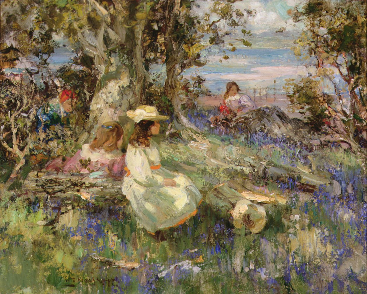 Bluebell Wood u moře, Galloway od William Stewart MacGeorge