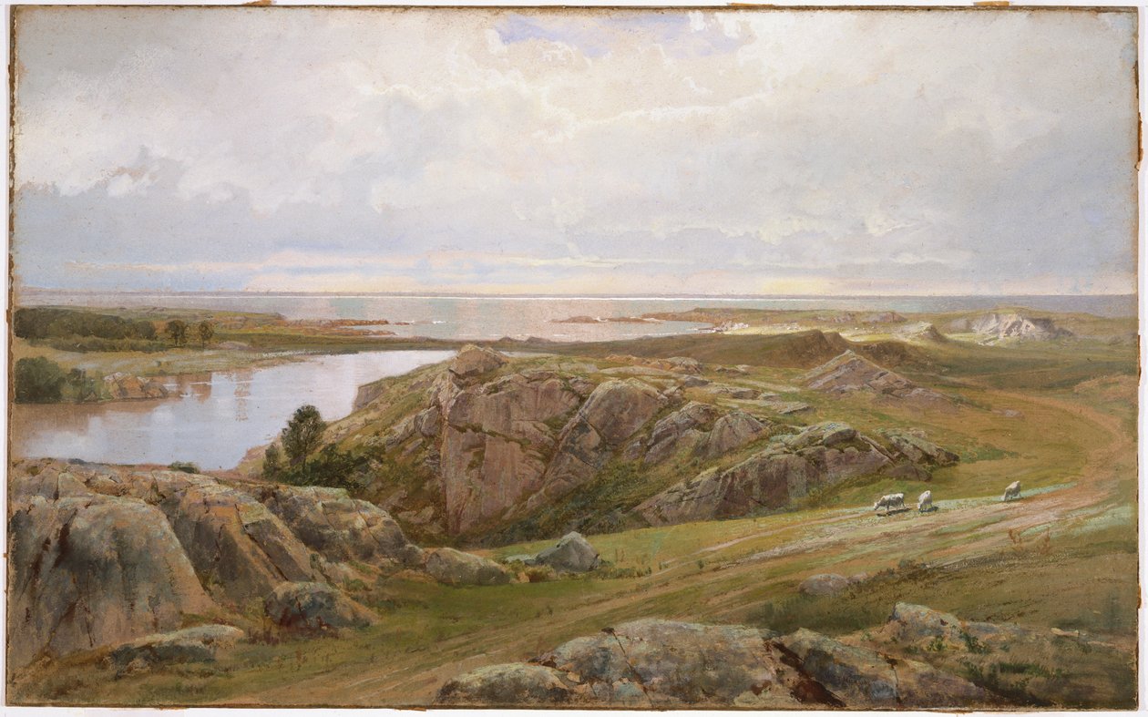 Lily Pond, Newport, 1877 (wc na papíře) od William Trost Richards