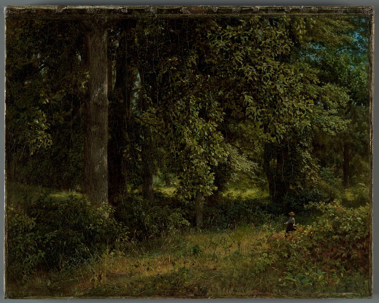Tulipány, 1859 od William Trost Richards