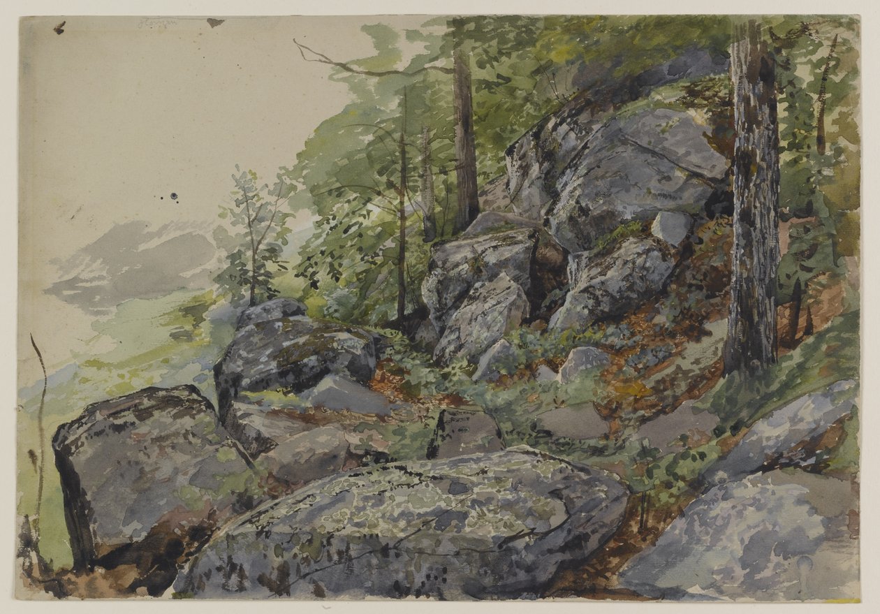 Woodland Boulders, cca 1877-78 (wc přes grafit na texturovaném tkaném papíru) od William Trost Richards